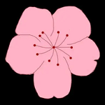 9.1免费版安装APP应用