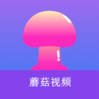 WWW,av538·COM网站APPAPP应用